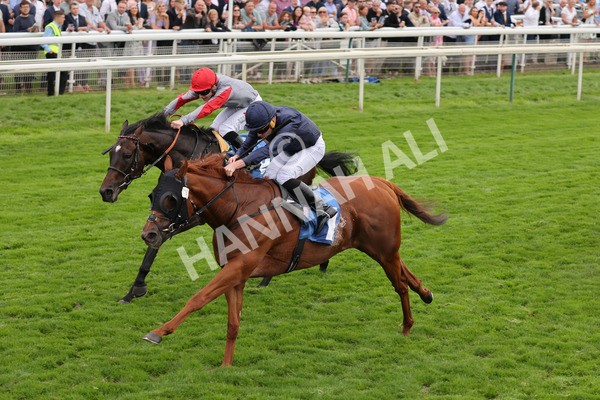 yr20082021r7-26 - Race 7 5.10pm Sky Bet Mile