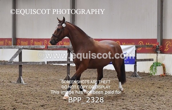 BPP_2328 - AFTERNOON 12.30 - 3.30PM