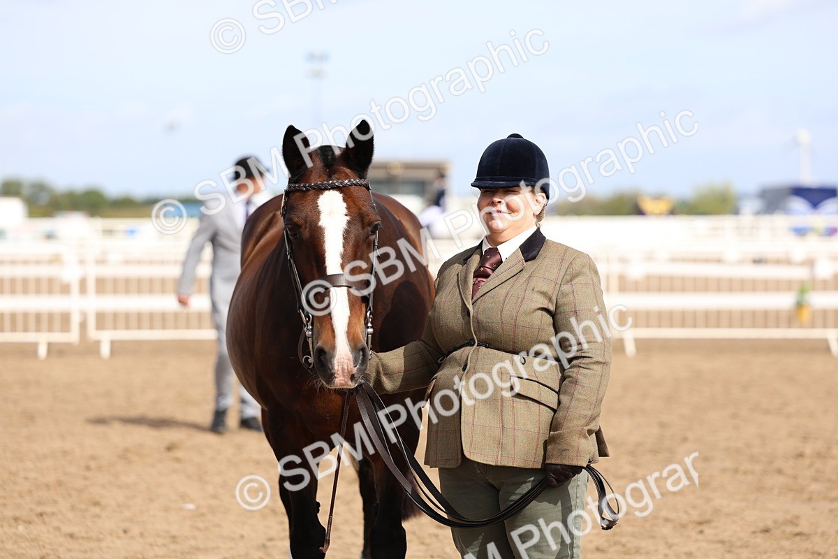 SBM_02382 - Class 19 - Horse or Pony Judge would most like to take home
