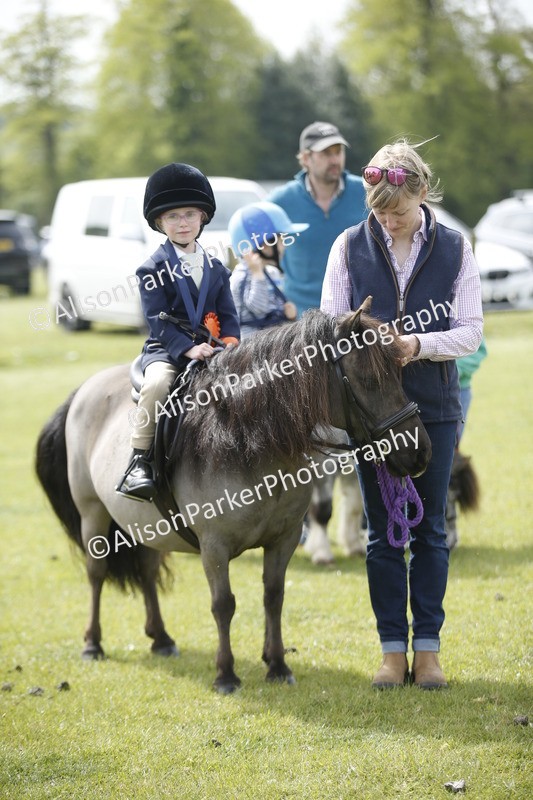 20260426-1923 - Class 7 - Pony Judge Would Most Like To Take Home