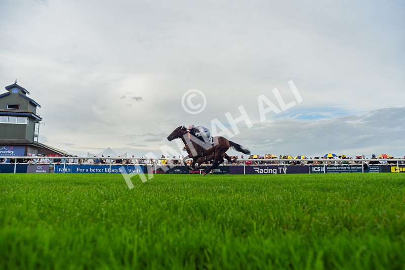 300826-Race 7-Marbuzet-7055 - Race 7 5.05pm Napoleons Casino And Restaurant Hull Apprentice Handicap