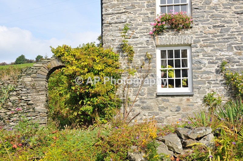 ACP_9037 - Estate Agency