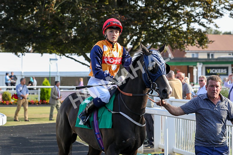 300824-Race 8-Seahorse Syd-0765 - Race 8