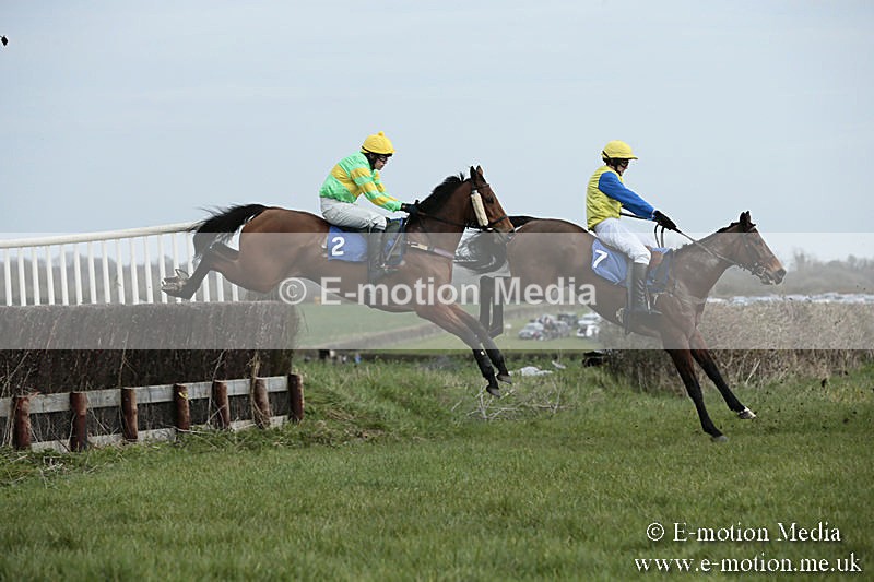 PtP 230319 21 - VWH Hunt Siddington Point-to-Point Racing 23/03/19