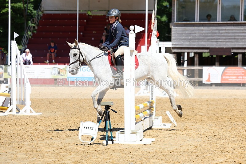 3E7A2436 - Class 4/5: 60cm Open Teams and Individuals