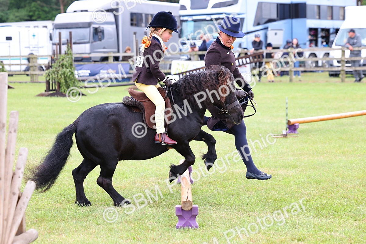 SBM_08163 - Class 42-43 - LIHS BSPS Heritage Working Sports Pony