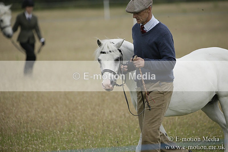 B230619-0114 - Bourne Valley Riding Club Summer Show 23/06/19