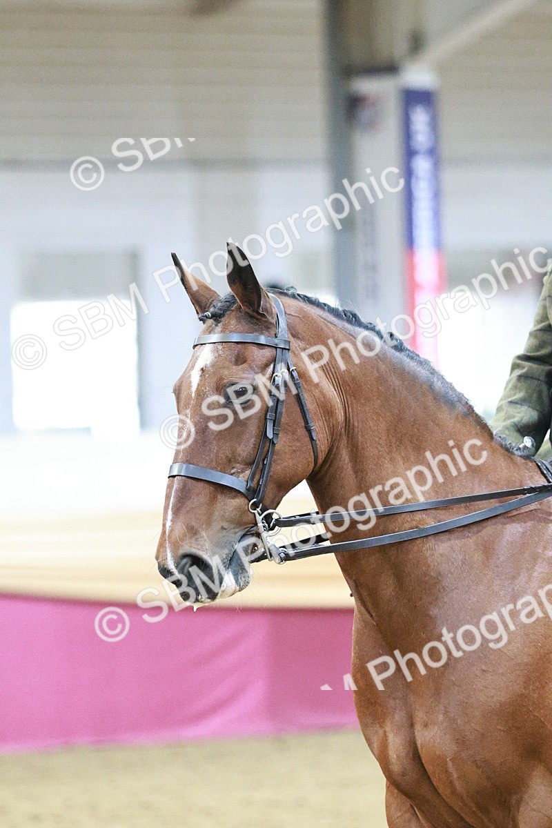 SBM_08203 - Class 11R - Regional Ridden Veteran
