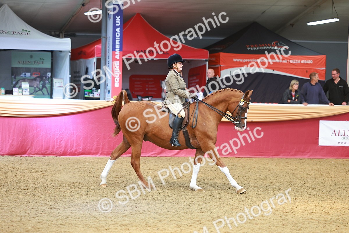 SBM_10581