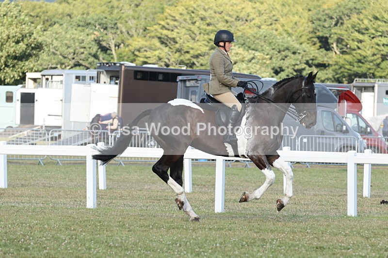 JPP_3524 - Class 22: Working Hunter 90cm