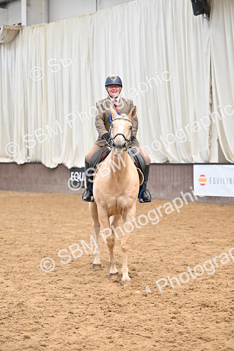 SBM_001491 - Class 19,20 - Ridden Native, Foreign Breeds & Warmbloods