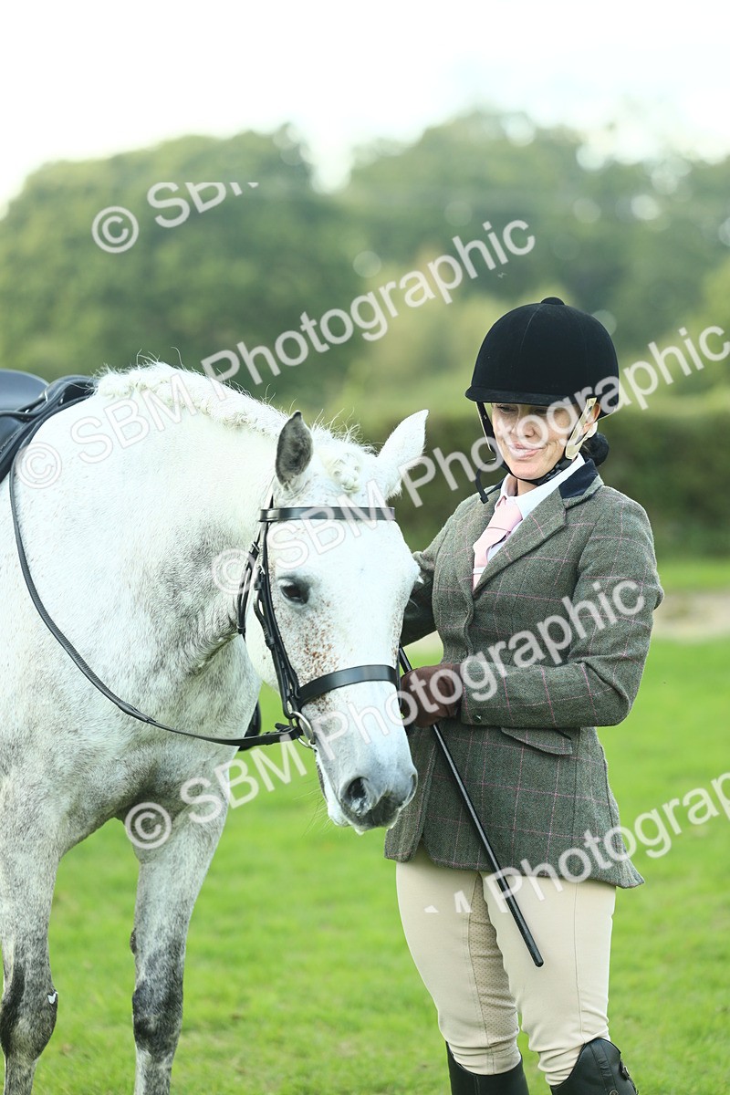 SBM_50723 - S33 - Working Hunter & Working Show Horse