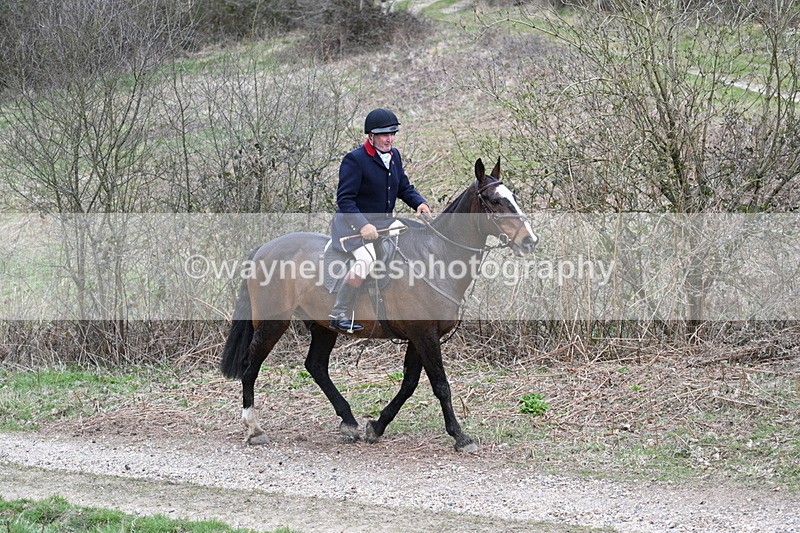 WJ7_7352 - Walk Home