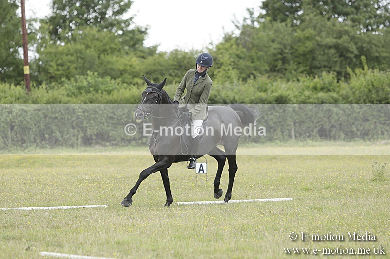 BVR160717-2035 - Class 4 & 5 Dressage 16/07/17