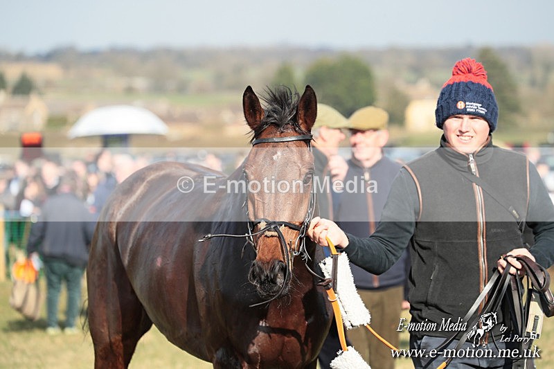 PtP 010325 348 - Beaufort Races Didmarton 01/03/25