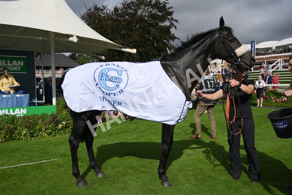 yr24092021r1-177 - Race 1 1.10pm Ernest Cooper Macmillan Ride of Their Lives