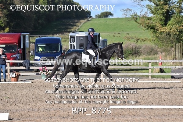 BPP_8775 - SHORT ARENA