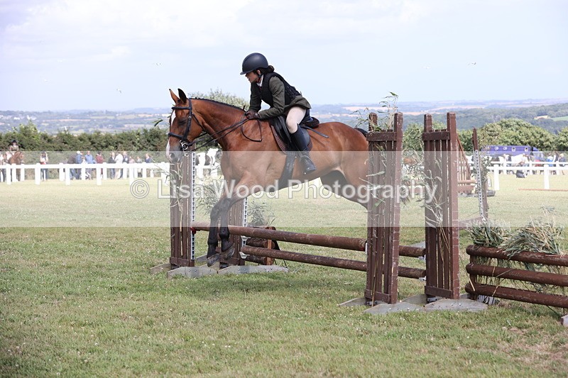 JPP_2067 - Class 19: Working Hunter 60cm