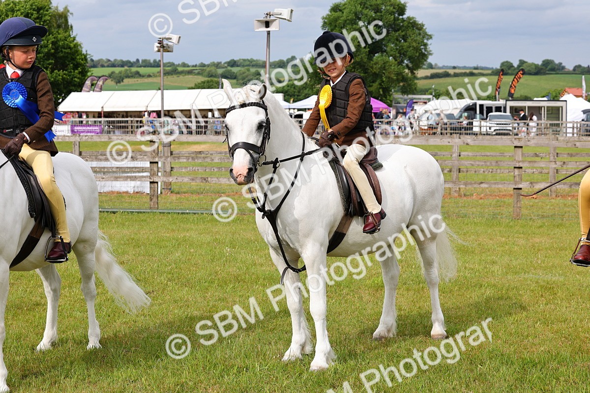 SBM_09663 - Class 44-45 - LIHS BSPS Open Nursery and Cradle Stakes