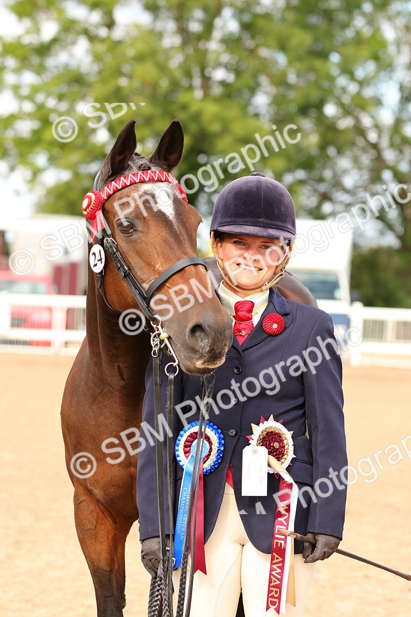 SBM_10247 - Class 205 - IH Show Pony - Show Hunter Pony
