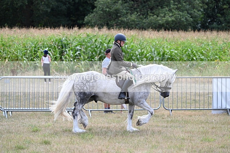 WJ7_5587 - Class 12 Ridden Cob