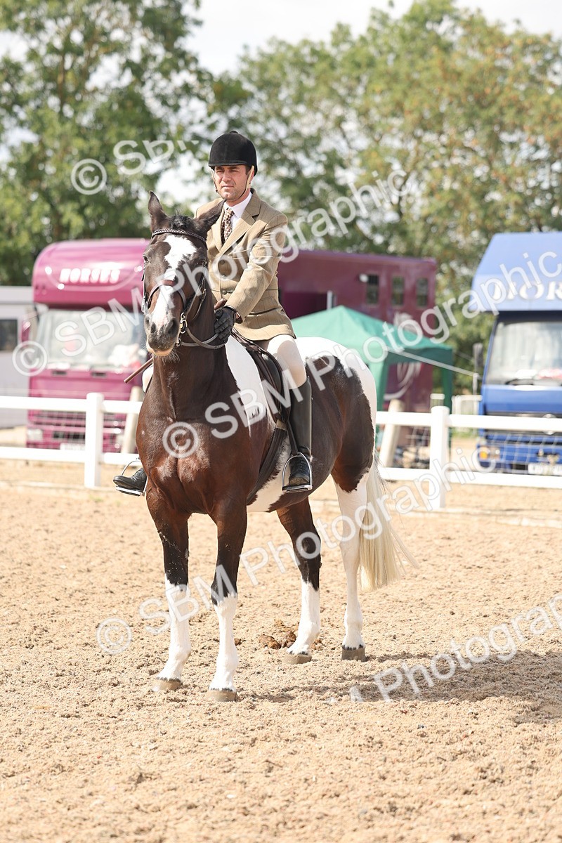 SBM_14797 - Class 308 - Ridden Coloured Horse