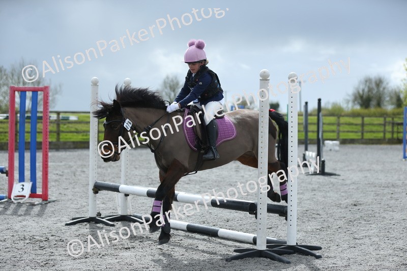 20260412-1761 - Show Jumping