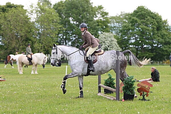 IMG_2751 - Working Hunter