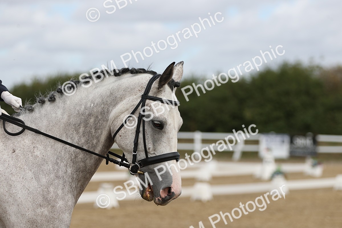 SBM_001511 - Class 2 - Intro 4 Champs - 10.56-11.44