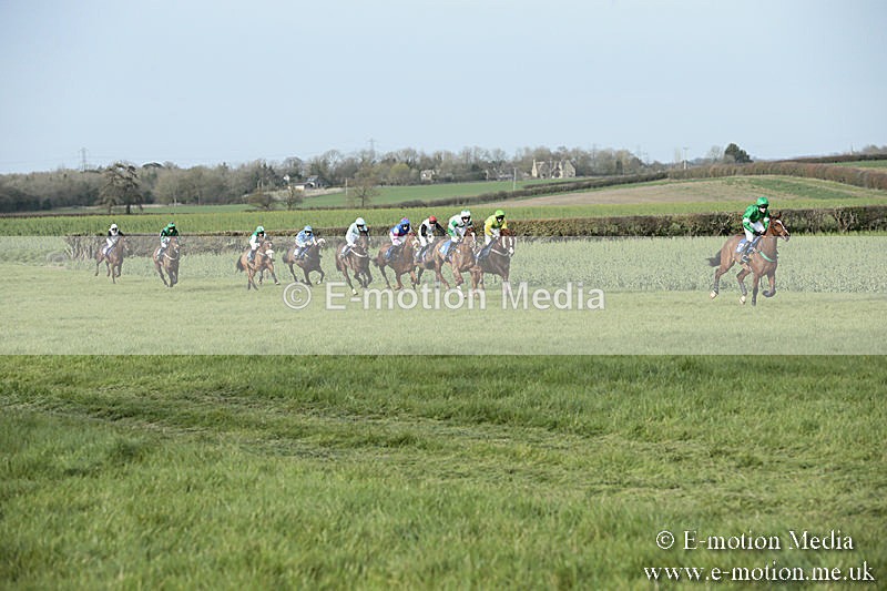 PtP 230319 453 - VWH Hunt Siddington Point-to-Point Racing 23/03/19