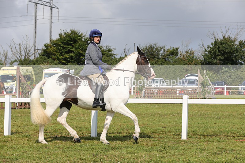 1X9A3463 - Skewbald and Piebald Ridden Championship