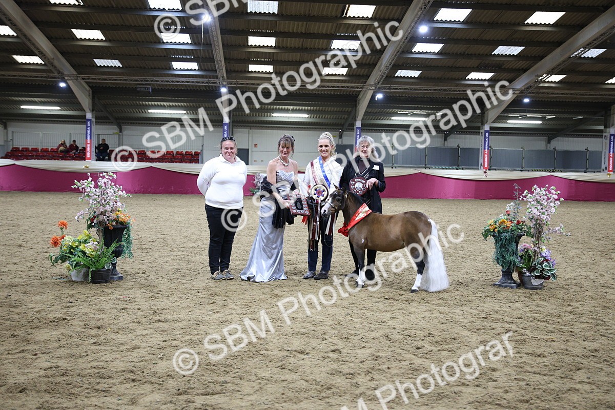 SBM_18776 - Class D IH Pony Champ