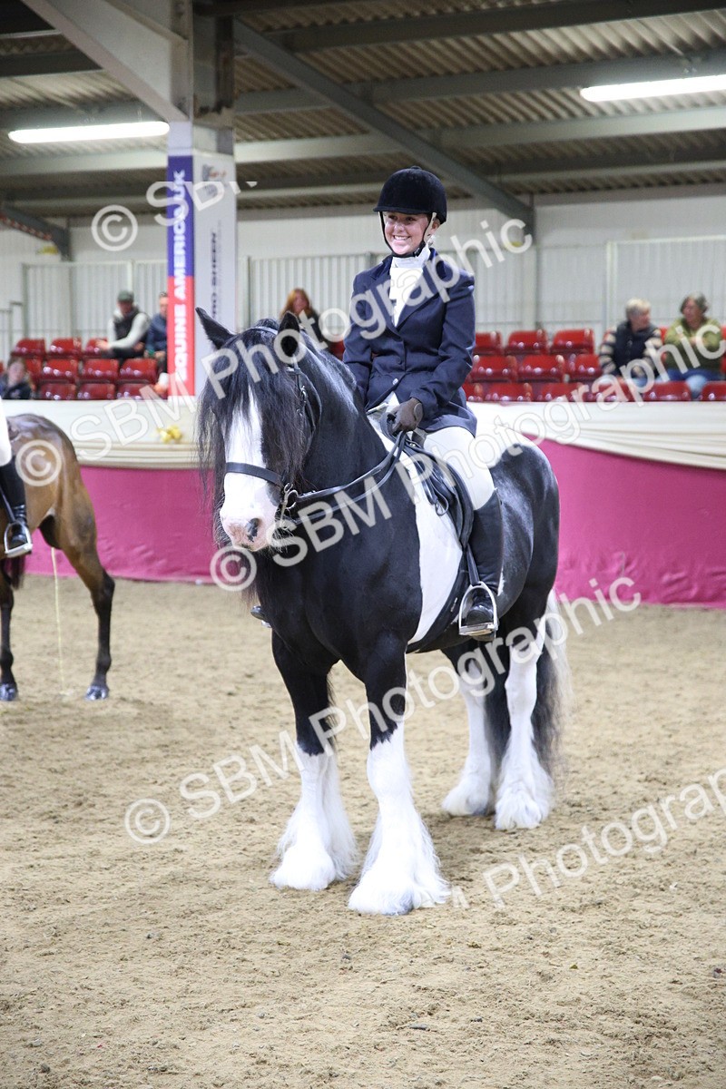 5K7A1573 - Class P Veteran Champ