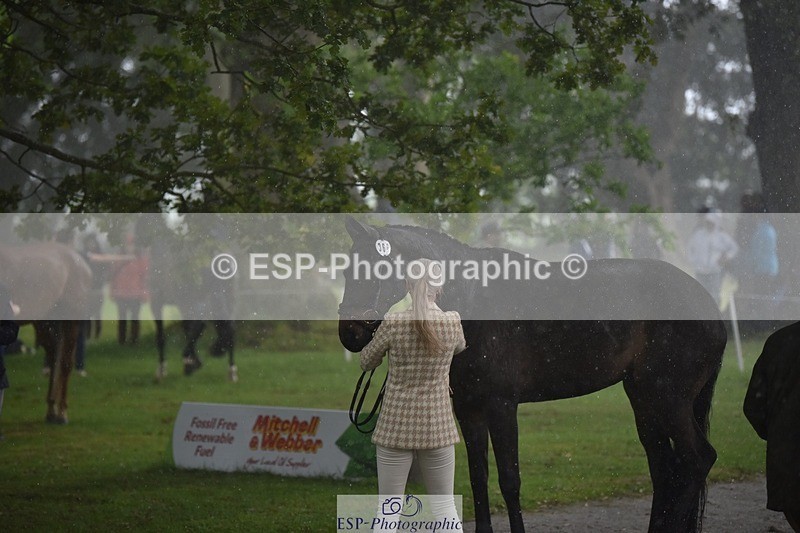 240522-151602-00212 - 366-GYPSIE_DU_LOIR-Yasmin_Ingham