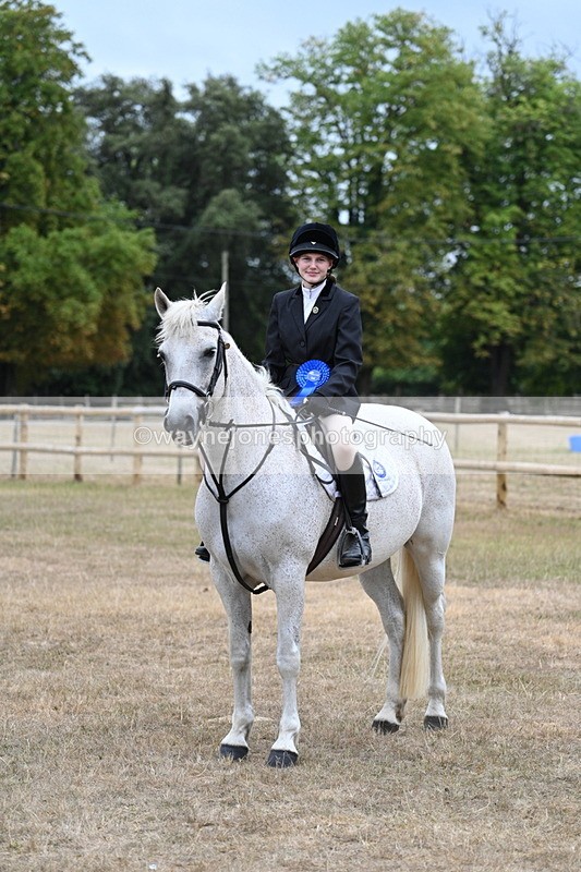 WJ7_1006 - Class 7 Riding Club Show Horse