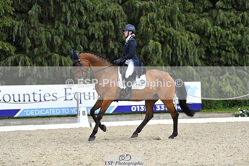 230525-154342-03296 - 329-VINTAGE_GRAFFITI-Alice_Hallows-WEDTrotUp+DR