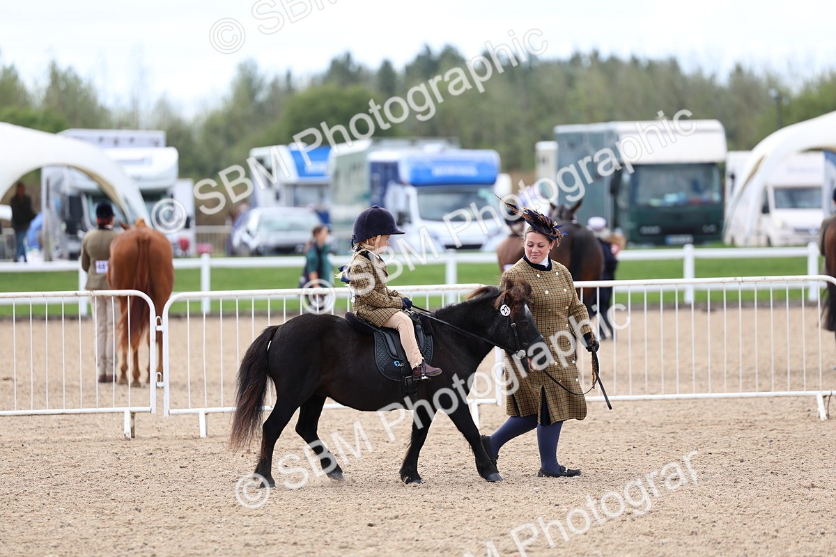 SBM_13086 - Class 309 - Lead Rein Pony