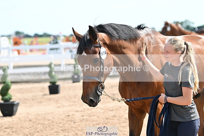 240717A-155247-03133 - Trot Up 3pm to 4pm