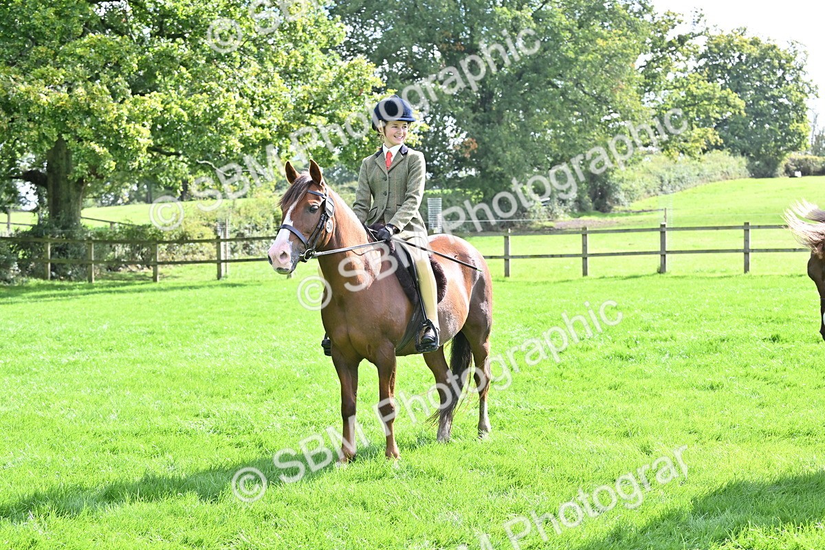 SBM_44588 - S13 - Pony Club Pony