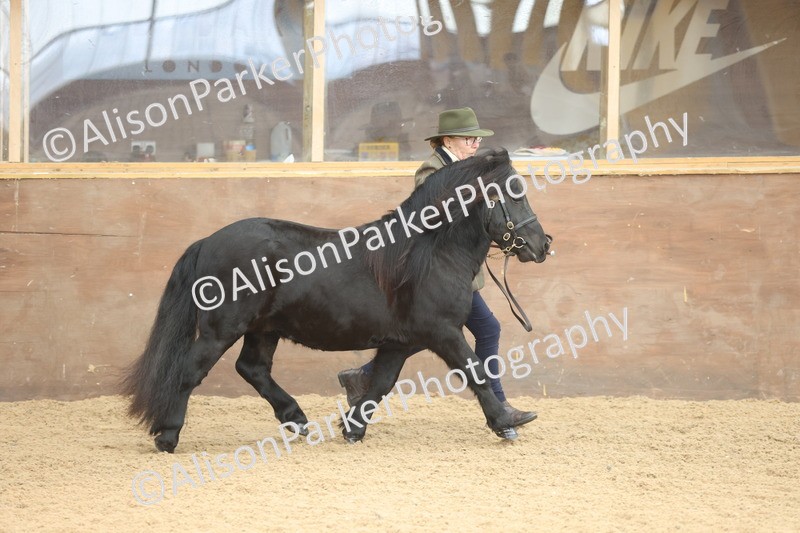 20251109-0030 - Class 3 - 2 and 3 Year Old