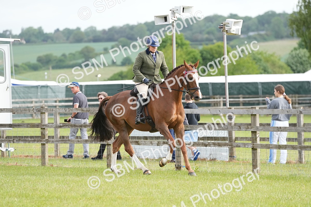 SBM_10574 - Class 97-98 - LIHS BSHA Rising Star Working Show Horse Hunter