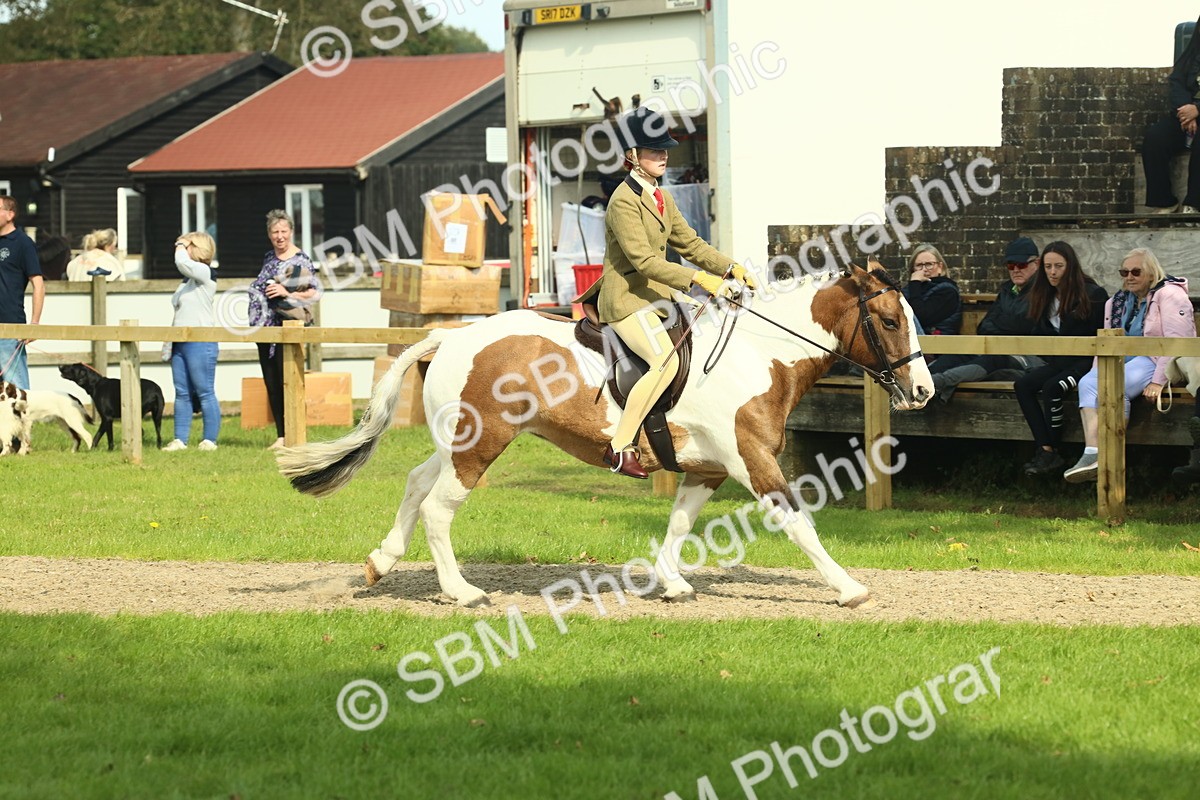 SBM_67665 - S56 - Coloured Pony Ridden