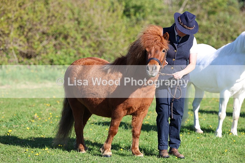 3E7A8396 - Class 12: M & M Small Breeds