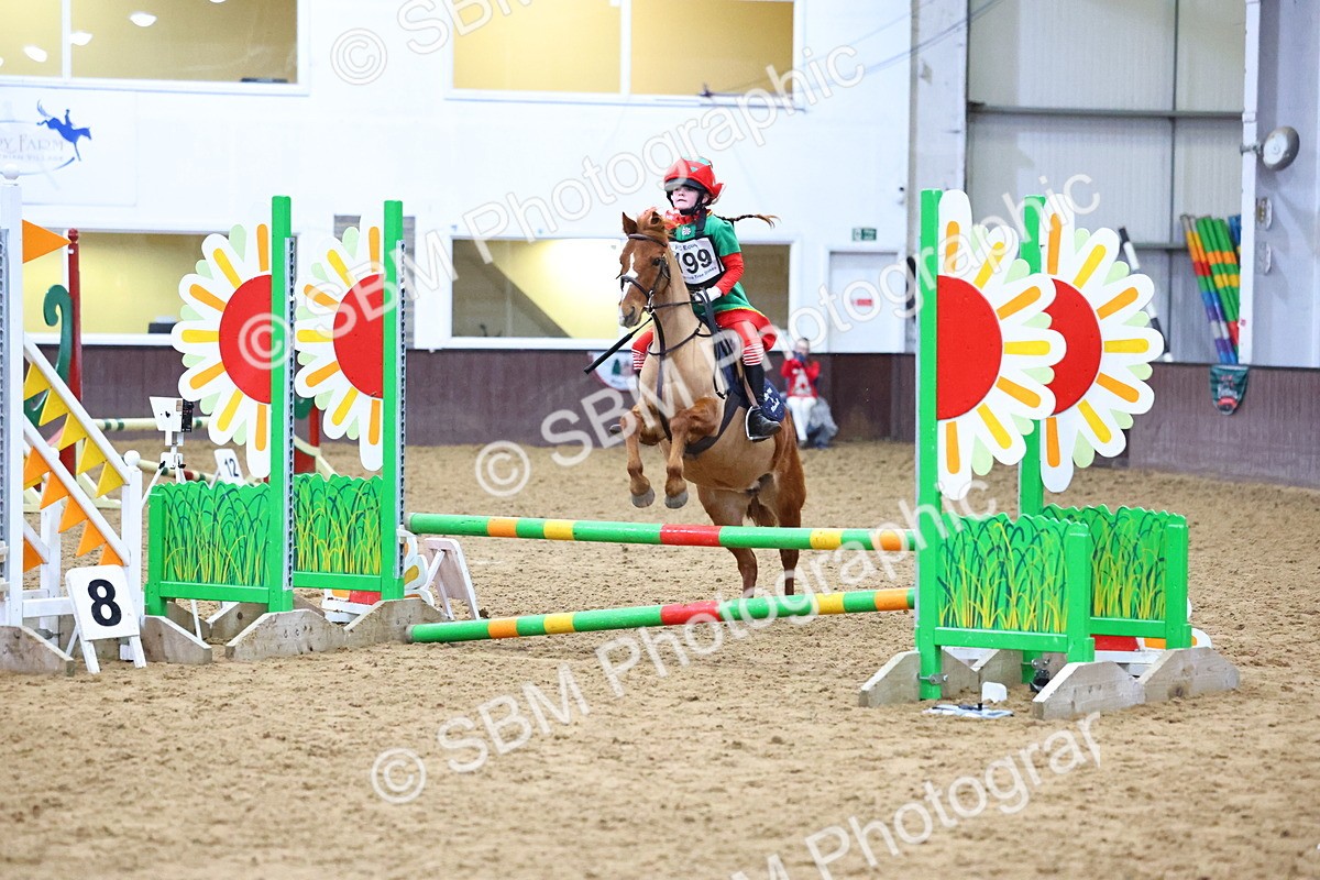 SBM_001444 - Class 3 - Christmas Tree Stakes - 60cm