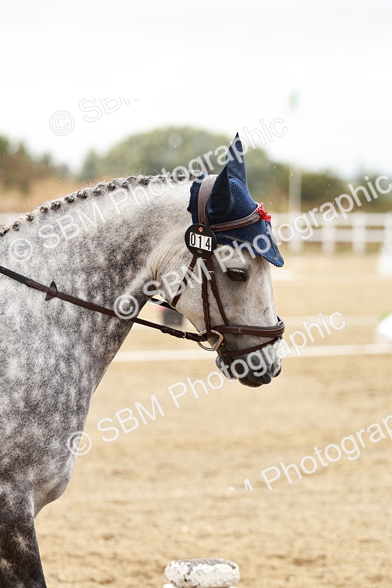 SBM_002970