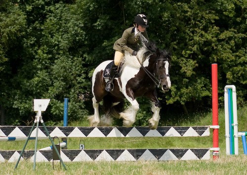 86 - Moniaive Horse Show 2008