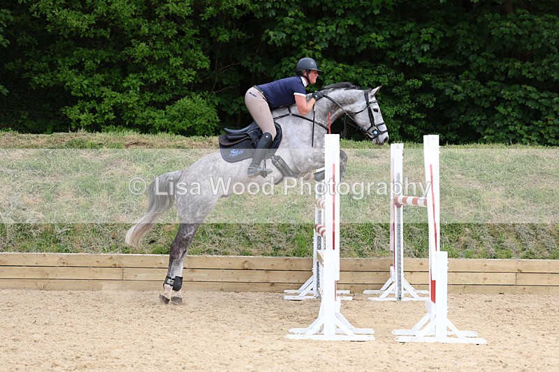 3E7A7430 - Class 8: Senior Foxhunter/1.20 open