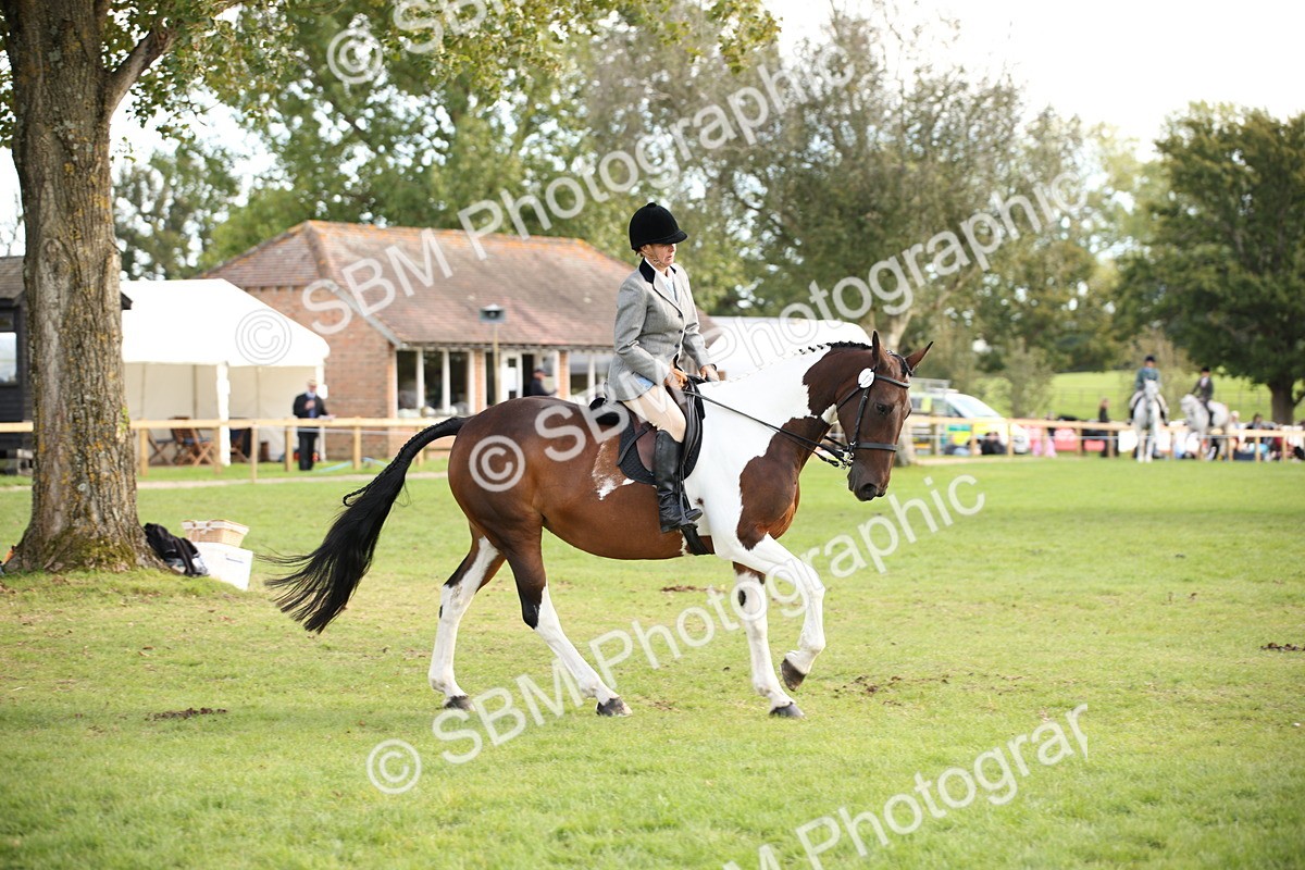 SBM_50201 - S26 - Young Veteran - Ridden