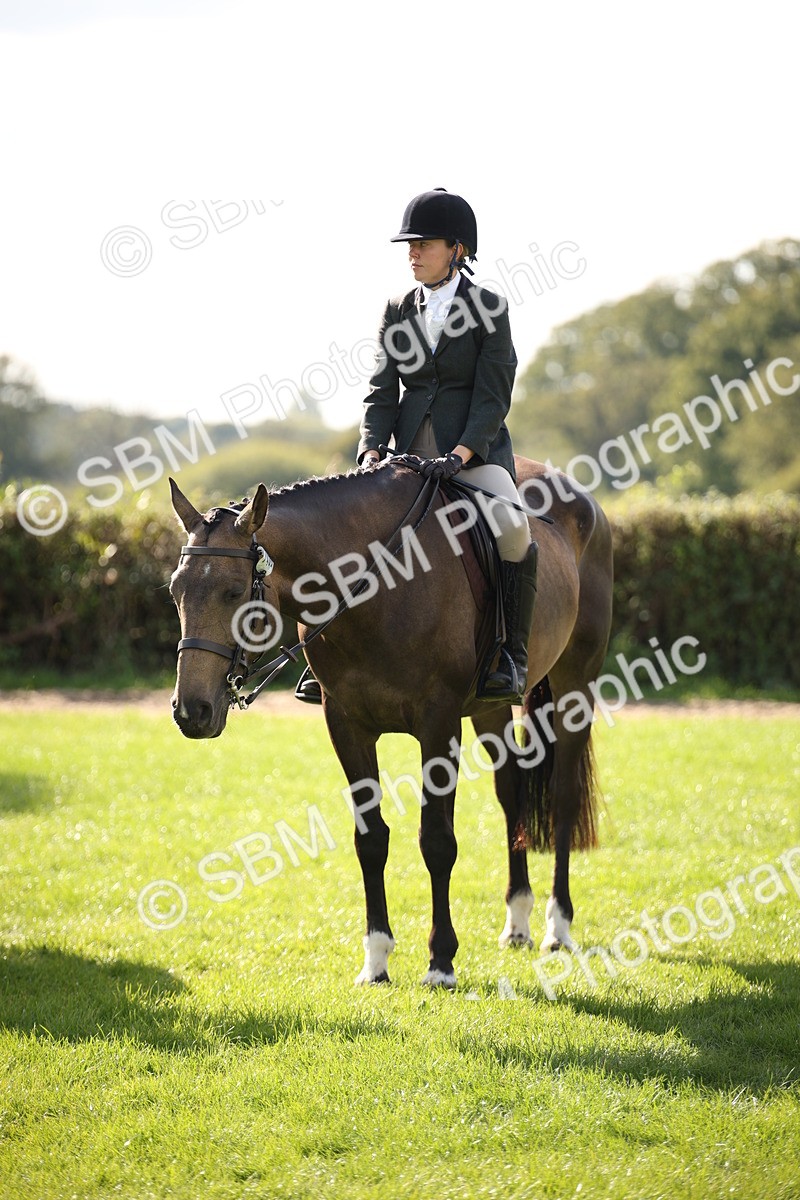 SBM_50083 - S26 - Young Veteran - Ridden