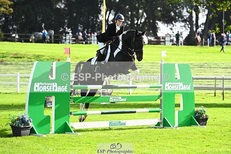 231020-111032-06368 - 101-RICARDO.COLOURS.II-Elizabeth.Wadey-SJ